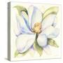 Magnolia-Kathleen Parr McKenna-Stretched Canvas