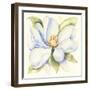 Magnolia-Kathleen Parr McKenna-Framed Art Print