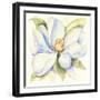 Magnolia-Kathleen Parr McKenna-Framed Art Print