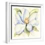 Magnolia-Kathleen Parr McKenna-Framed Art Print