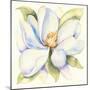 Magnolia-Kathleen Parr McKenna-Mounted Art Print