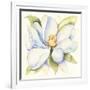 Magnolia-Kathleen Parr McKenna-Framed Art Print