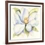 Magnolia-Kathleen Parr McKenna-Framed Art Print