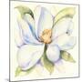 Magnolia-Kathleen Parr McKenna-Mounted Art Print