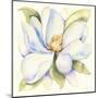 Magnolia-Kathleen Parr McKenna-Mounted Art Print