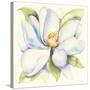 Magnolia-Kathleen Parr McKenna-Stretched Canvas