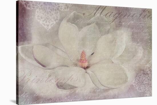 Magnolia-Cora Niele-Stretched Canvas