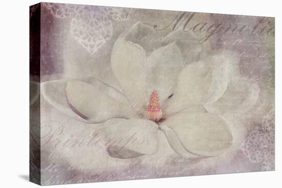 Magnolia-Cora Niele-Stretched Canvas