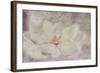 Magnolia-Cora Niele-Framed Giclee Print