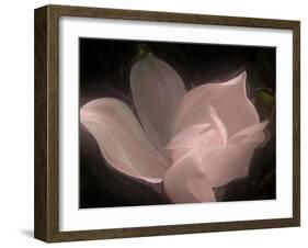 Magnolia-Mindy Sommers-Framed Giclee Print