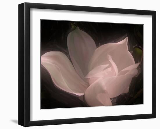 Magnolia-Mindy Sommers-Framed Giclee Print