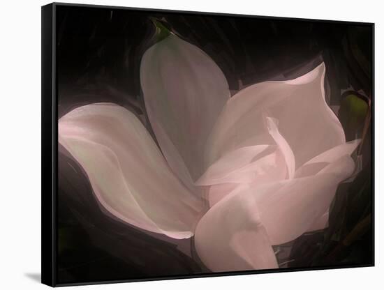 Magnolia-Mindy Sommers-Framed Stretched Canvas
