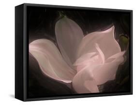Magnolia-Mindy Sommers-Framed Stretched Canvas