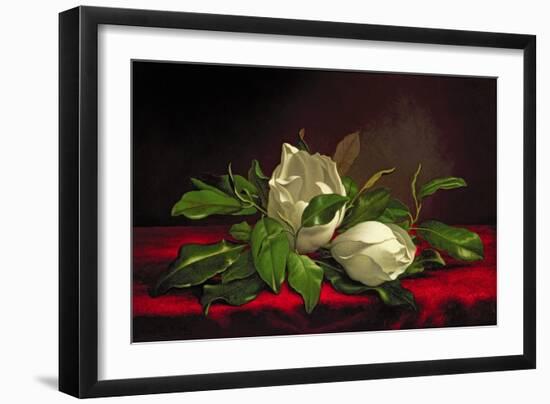 Magnolia-Martin Johnson Heade-Framed Giclee Print