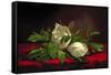 Magnolia-Martin Johnson Heade-Framed Stretched Canvas