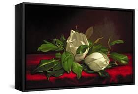 Magnolia-Martin Johnson Heade-Framed Stretched Canvas