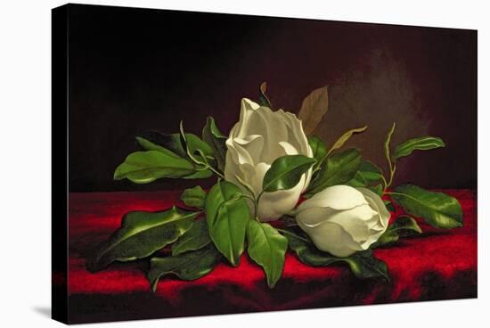 Magnolia-Martin Johnson Heade-Stretched Canvas