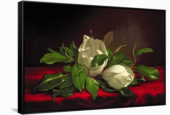 Magnolia-Martin Johnson Heade-Framed Stretched Canvas