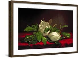 Magnolia-Martin Johnson Heade-Framed Giclee Print