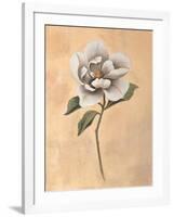 Magnolia-Virginia Huntington-Framed Art Print