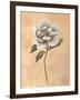 Magnolia-Virginia Huntington-Framed Art Print