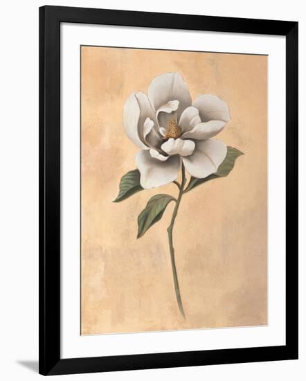 Magnolia-Virginia Huntington-Framed Art Print