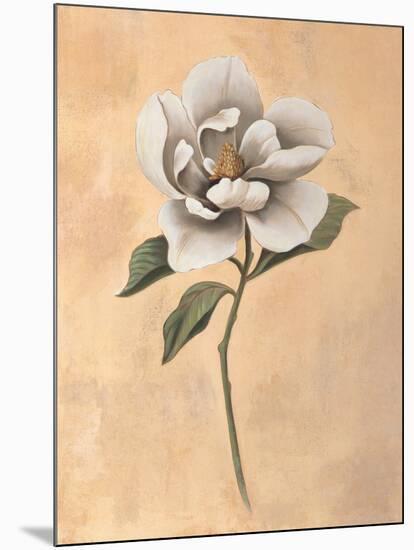 Magnolia-Virginia Huntington-Mounted Art Print