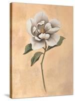 Magnolia-Virginia Huntington-Stretched Canvas