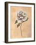 Magnolia-Virginia Huntington-Framed Art Print