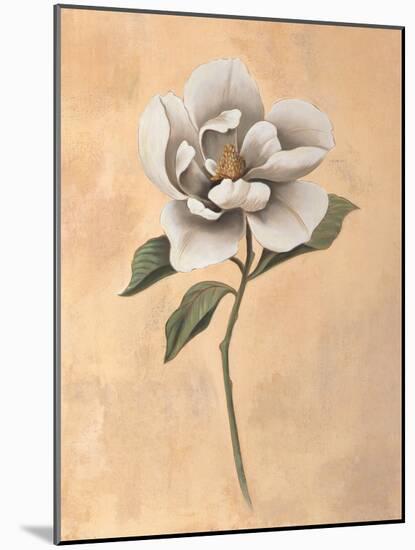 Magnolia-Virginia Huntington-Mounted Art Print