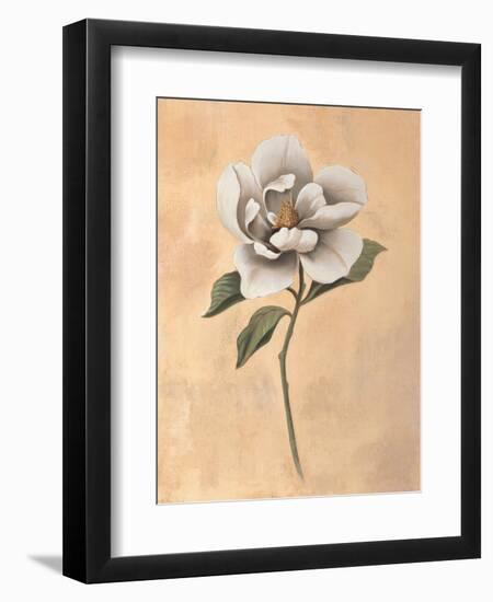 Magnolia-Virginia Huntington-Framed Art Print