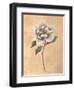 Magnolia-Virginia Huntington-Framed Art Print