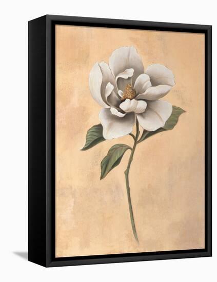 Magnolia-Virginia Huntington-Framed Stretched Canvas