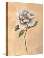 Magnolia-Virginia Huntington-Stretched Canvas