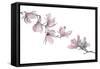 Magnolia-Stacy Hsu-Framed Stretched Canvas