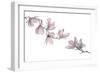 Magnolia-Stacy Hsu-Framed Art Print