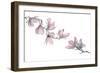 Magnolia-Stacy Hsu-Framed Premium Giclee Print