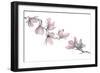 Magnolia-Stacy Hsu-Framed Premium Giclee Print