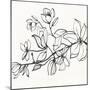 Magnolia-Susan Jill-Mounted Art Print