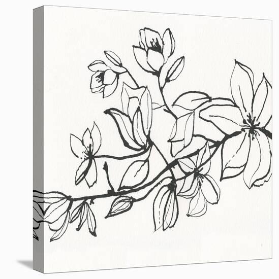 Magnolia-Susan Jill-Stretched Canvas