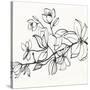 Magnolia-Susan Jill-Stretched Canvas