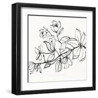 Magnolia-Susan Jill-Framed Art Print