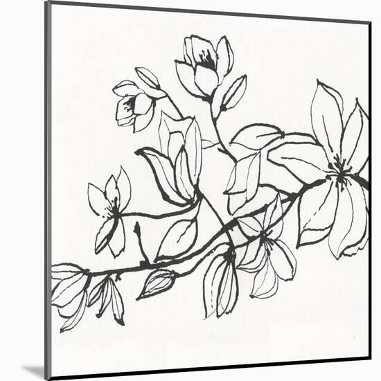 Magnolia-Susan Jill-Mounted Art Print