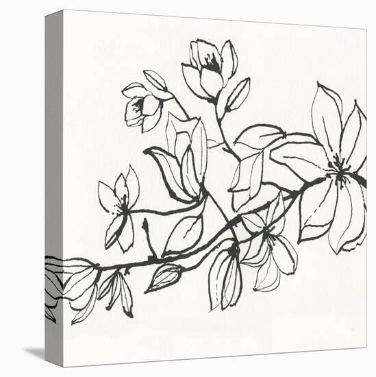 Magnolia-Susan Jill-Stretched Canvas