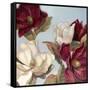 Magnolia-Paul Mathenia-Framed Stretched Canvas