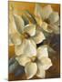 Magnolias Aglow at Sunset II-Lanie Loreth-Mounted Art Print