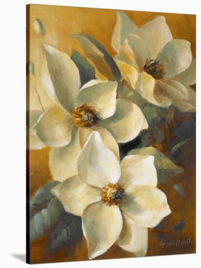 Magnolias Aglow at Sunset II-Lanie Loreth-Stretched Canvas