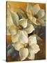 Magnolias Aglow at Sunset II-Lanie Loreth-Stretched Canvas