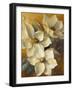 Magnolias Aglow at Sunset II-Lanie Loreth-Framed Art Print