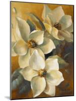 Magnolias Aglow at Sunset II-Lanie Loreth-Mounted Art Print